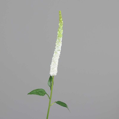 Veronica Zweig mit Blüte, künstlich Bild 4