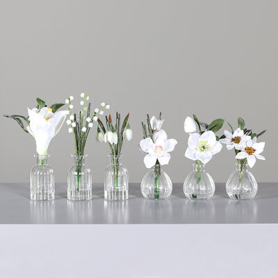 Weihnachtsblumen im Glas