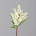 Beeren Zweig Cream 50 cm