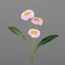 Bellis Kunstblume 24 cm, rosee