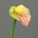 Calla mit einer Blüte, Stiel, künstlich 68 cm, gelb-rosa