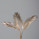 Chico Zweig, gold 60 cm
