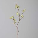 Eukalyptus Fruchtstand Zweig, künstlich 85 cm, mint