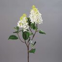 Flieder mit 2 Dolden, künstlich 89 cm,cream