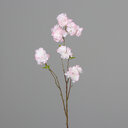 Künstliche Kirschblüte Zweig 77 cm, weiß-rosa