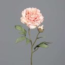 Künstliche Pfingstrose Päonie mit Blüte und Knospe 63 cm, rosa