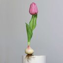 Künstliche Tulpe, aus Zwiebel gewachsen 25 cm, lila