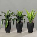Künstliche Agave in einer konischen Vase 1 Stück, 30 cm