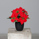 Künstlicher Weihnachtsstern im Topf, Poinsettia 27 cm