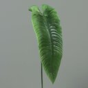 Künstliches Elefantenohr Blatt 65 cm