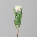 Kunstblume Protea 48 cm, green-cream