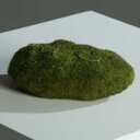 Moosschwamm, künstlich 10 cm