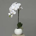 Orchidee-Phalaenopsis im Keramiktopf 46 cm, weiß