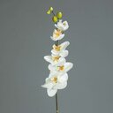 Orchidee Phalaenopsis künstlich 78 cm