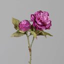 Päonie, Künstliche Trockenblume 37 cm, pink