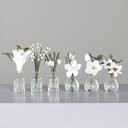 Weihnachtsblumen im Glas 18-24 cm