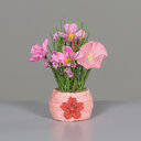 Wiesenblumen im Töpfchen rosee, 18 cm